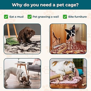Premium Metalic Foldable & Portable Cage for Dogs | Golden Color |