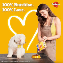 Load image into Gallery viewer, Pedigree Adult Chicken &amp; Liver Gravy For Dog 70g
