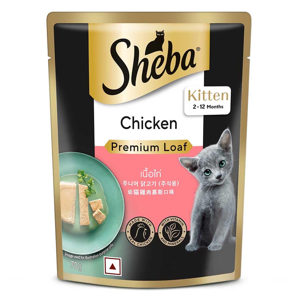 Sheba Kitten Chicken Premium Loaf 70g