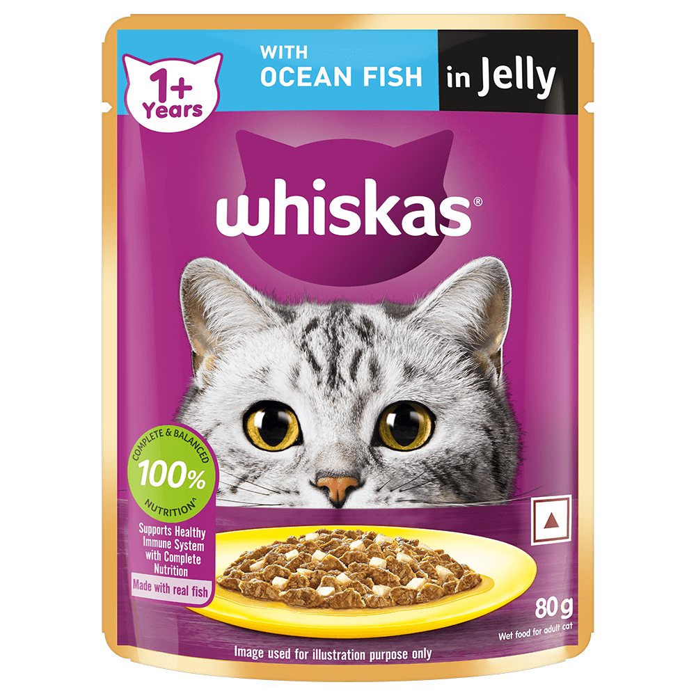 Whiskas Audlt With Ocean Fish In Jelly 80g