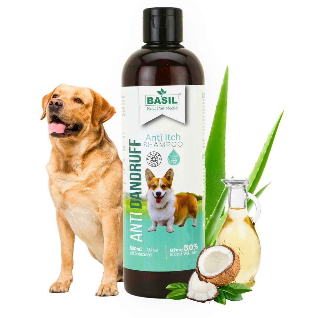 Basil Anti Dandruff Shampoo 500ml