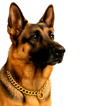Load image into Gallery viewer, PETSTREET New Heavy Duty Diamond Cut Brass Choke Chain Golden | Ideal for Training and Walking Aggressive Dogs and Puppies | 4mm, 60Cm| Rustproof, Durable Brass Choke Dog Collar|
