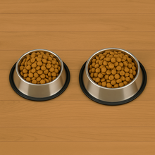 Load image into Gallery viewer, Petstreet Stainless Steel Dog Bowl, Dog  Food Bowl, Dog FeedingBowl| Anti-Slip Base, Scratch-Resistant &amp; Dishwasher Safe | Food &amp; Water Bowls for Cats &amp; Dogs | Pet Dinner Set | Set of 2|
