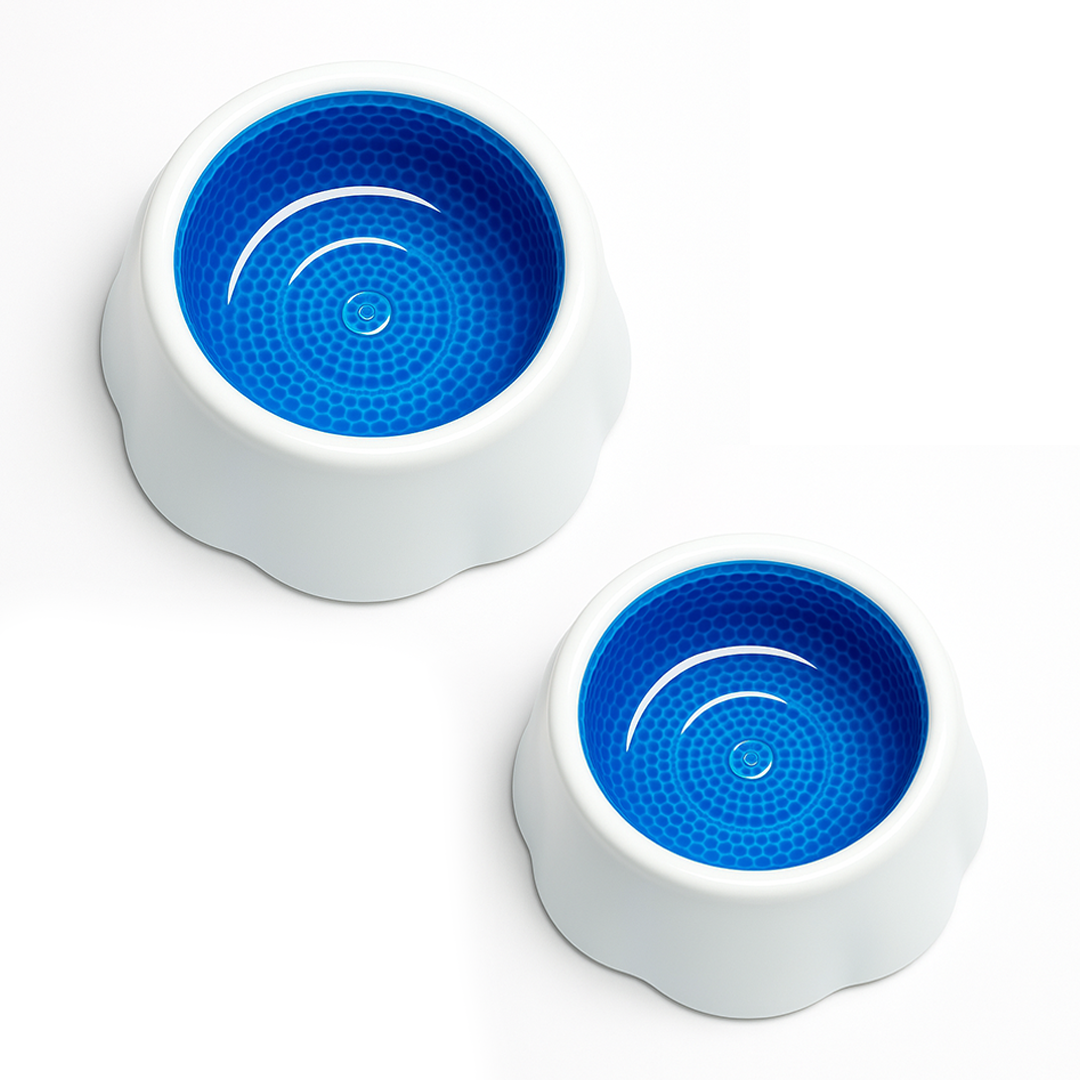 Bowls & Feeders