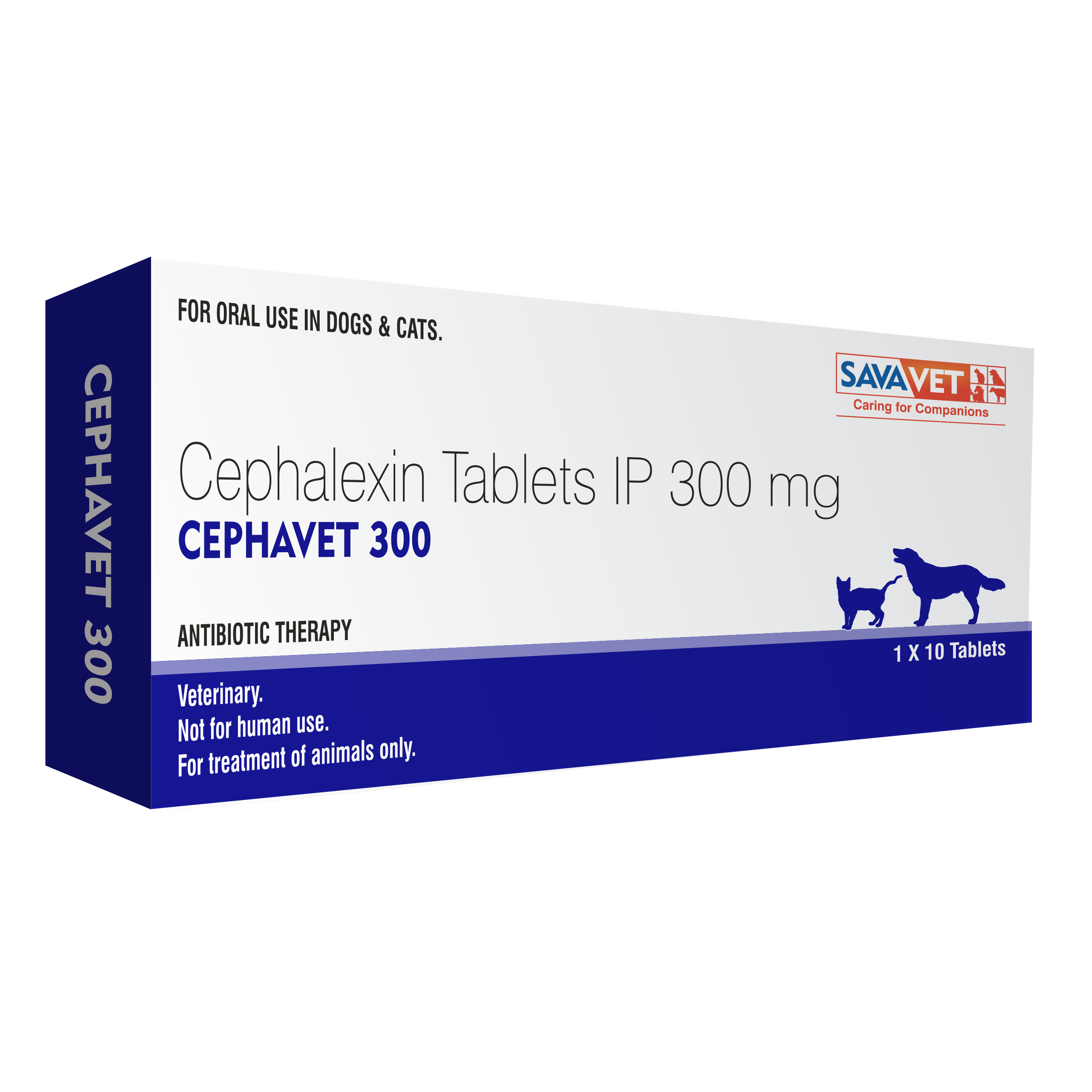 Savavet - Cephavet Dry Syrup - 60ml