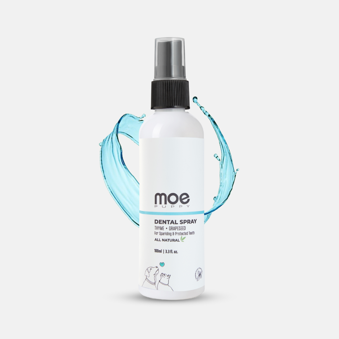 Moe Dental Spray 100ml