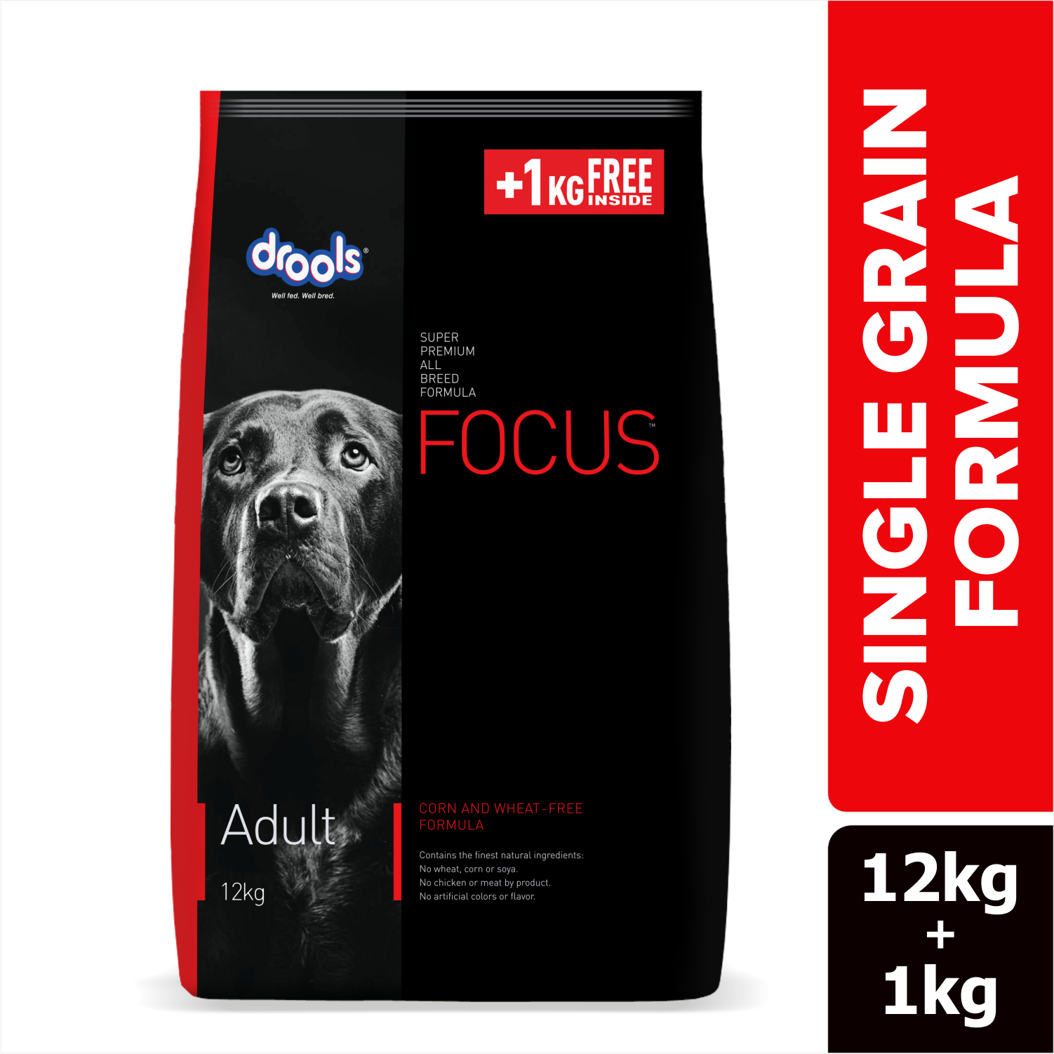 Drools Focus Adult Dog Food 4kg | Complete & Balanced Dry Dog Food | High Protein Nutrition | Healthy Digestion | Strong Bones & Immunity | Adult Dog Food for All Breeds
