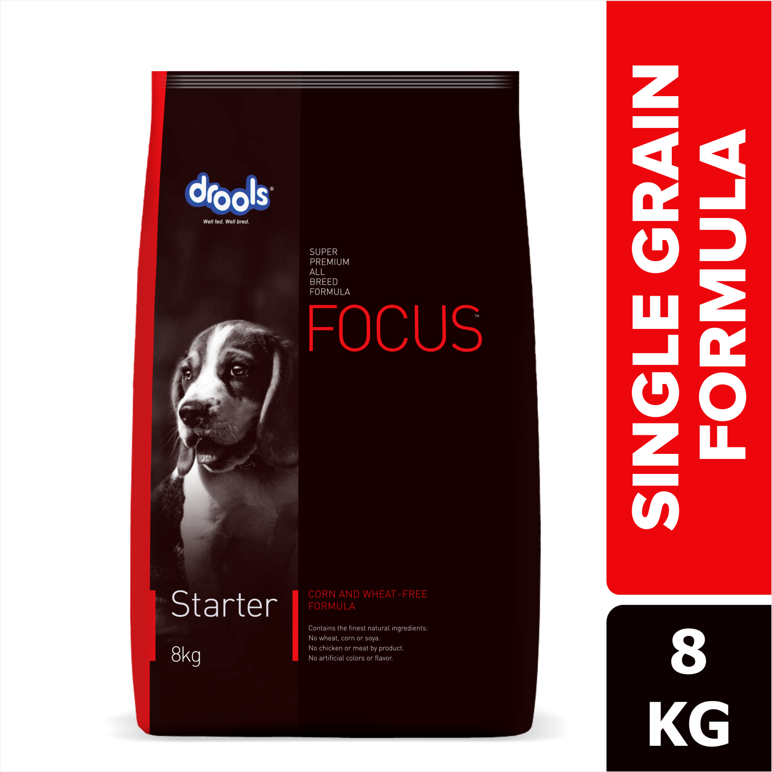 Drools Focus Starter Dog Food 1.2kg | Complete & Balanced Dry Starter Food for Puppies, Pregnant & Lactating Dogs | High Protein | DHA for Brain Development | All Breed Dog Food