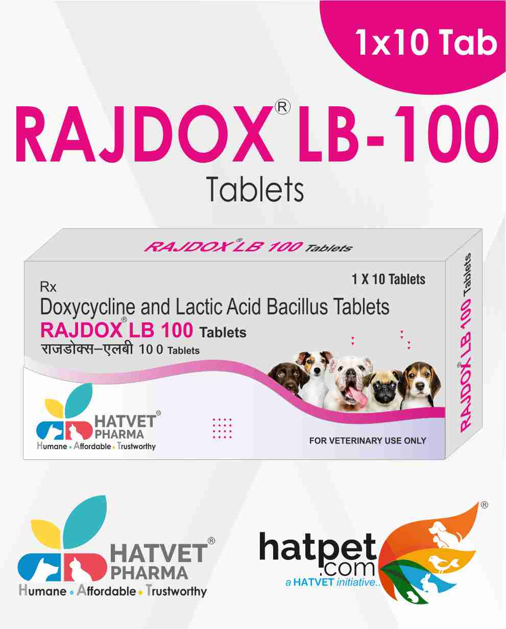 Hatvet - Pharma Rajdox-Lb 100