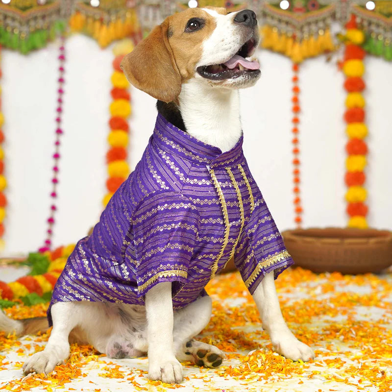Festive Purple Kurta for Dogs – Elegant Ethnic Wear for Your Furry Friend
