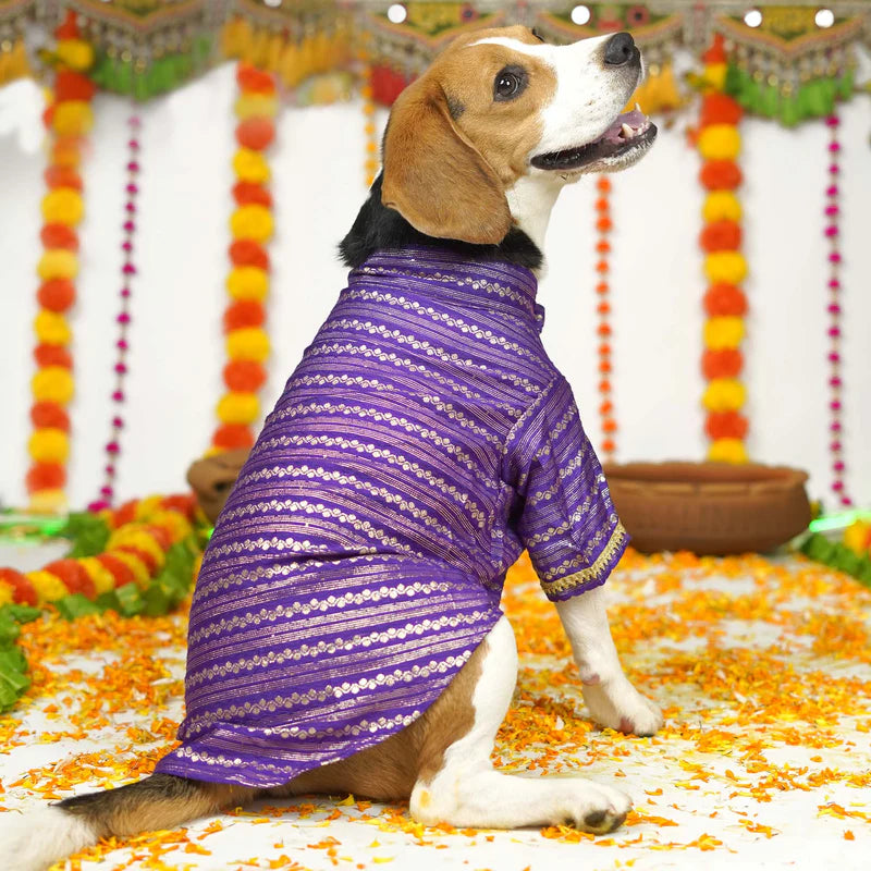 Festive Purple Kurta for Dogs – Elegant Ethnic Wear for Your Furry Friend