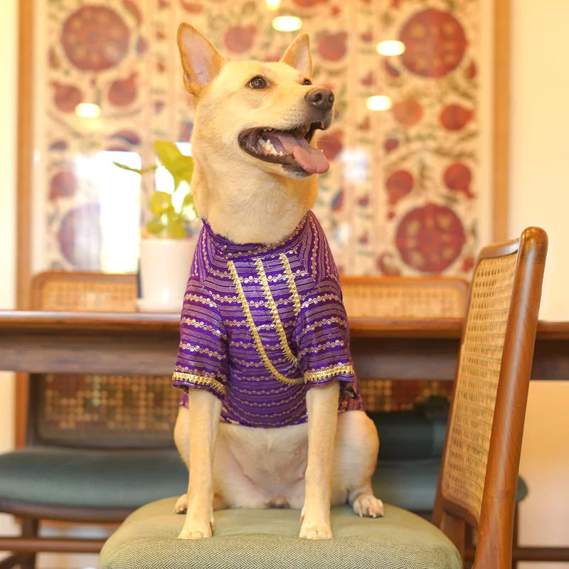 Festive Purple Kurta for Dogs – Elegant Ethnic Wear for Your Furry Friend