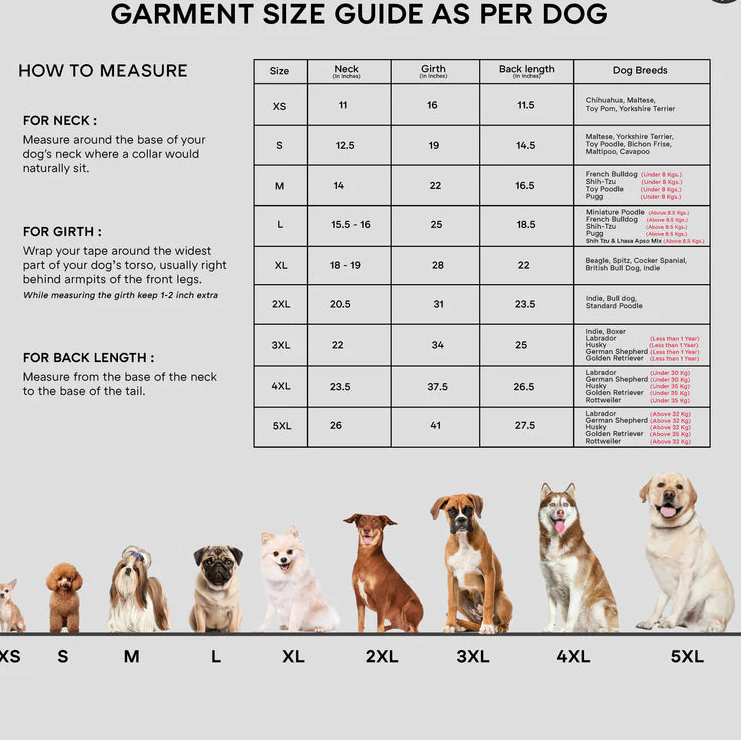 Festive Kurta for Dogs – Traditional Style for Your Furry Friend