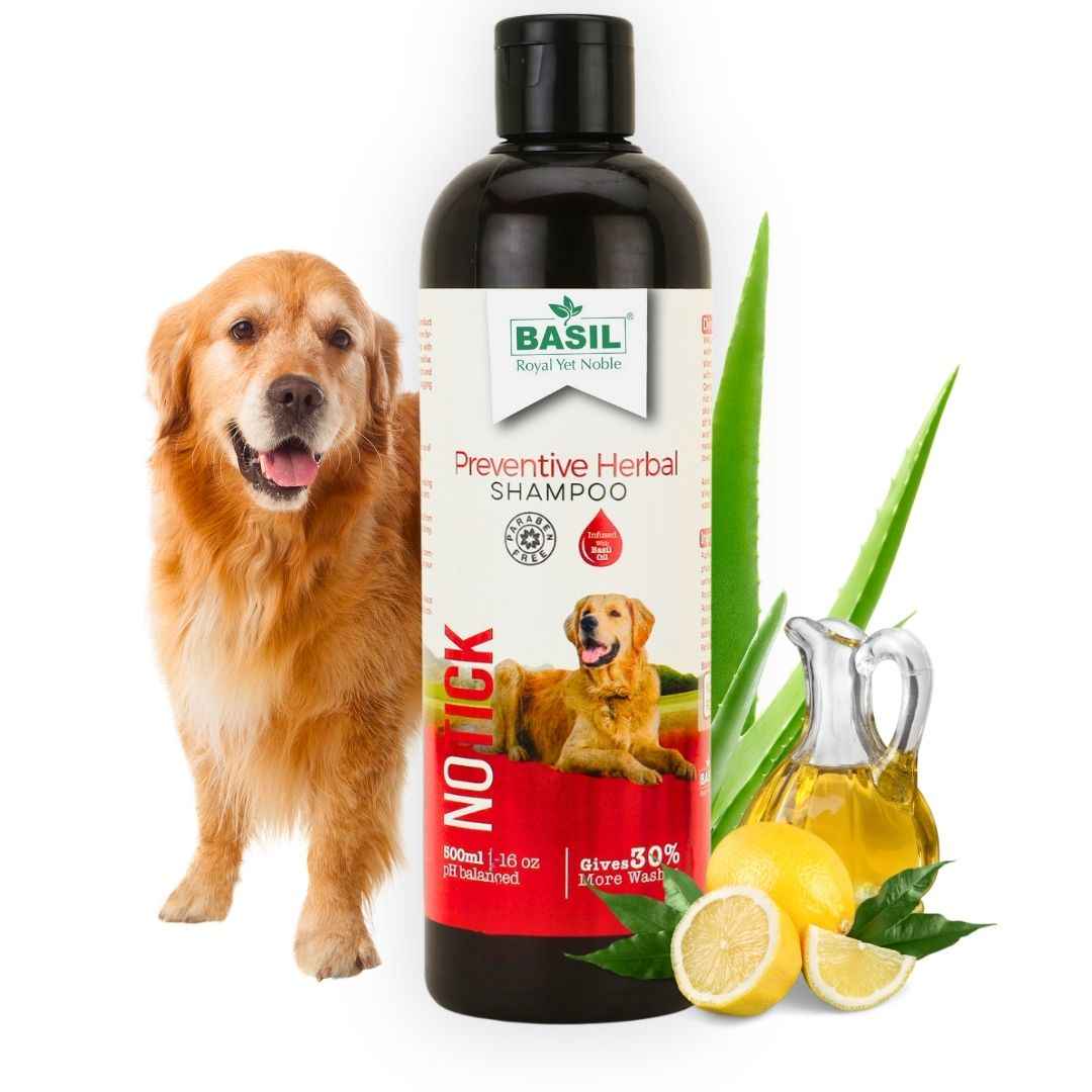 Basil No Tick Shampoo 250ml
