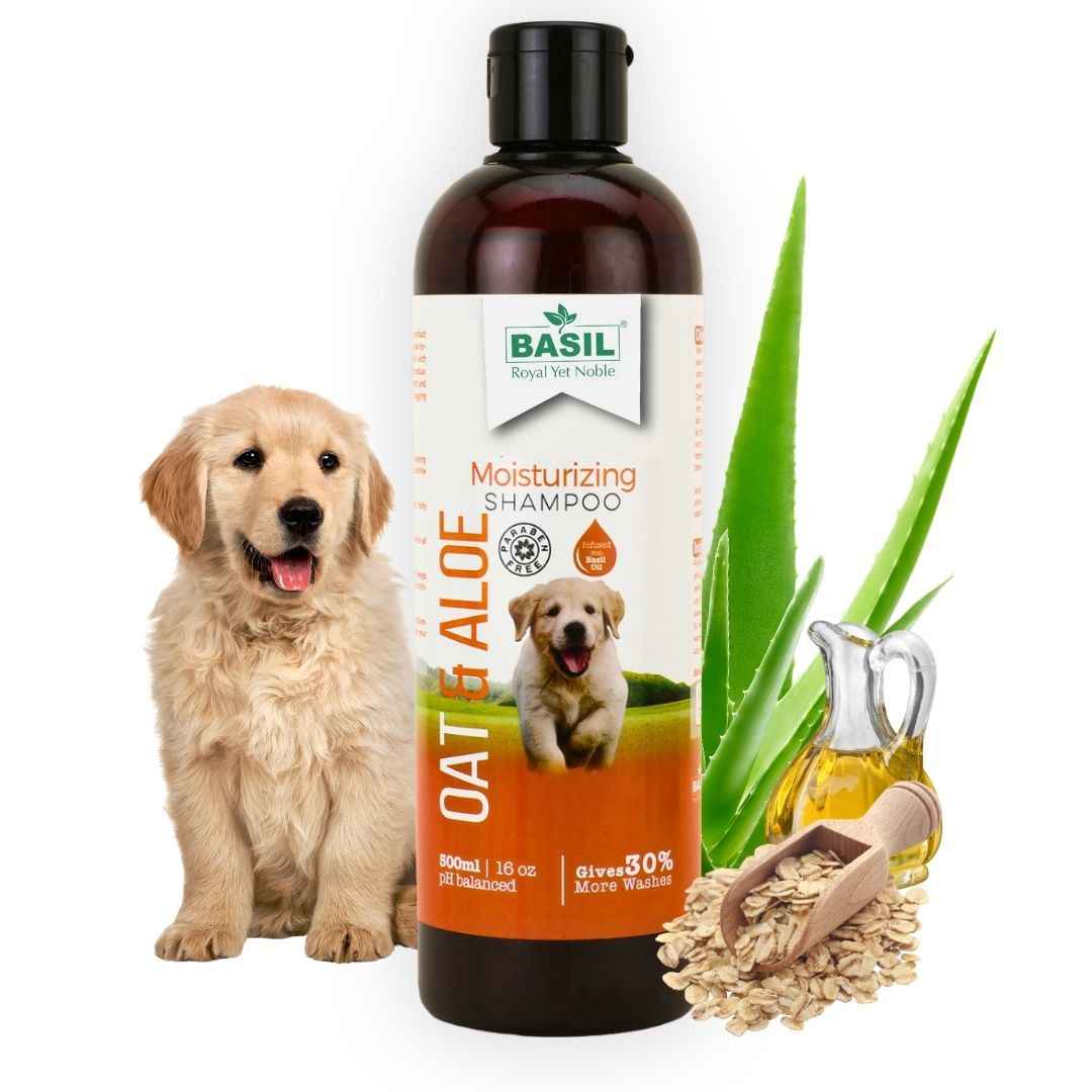 Basil Oat & Aloe Shampoo 500ml