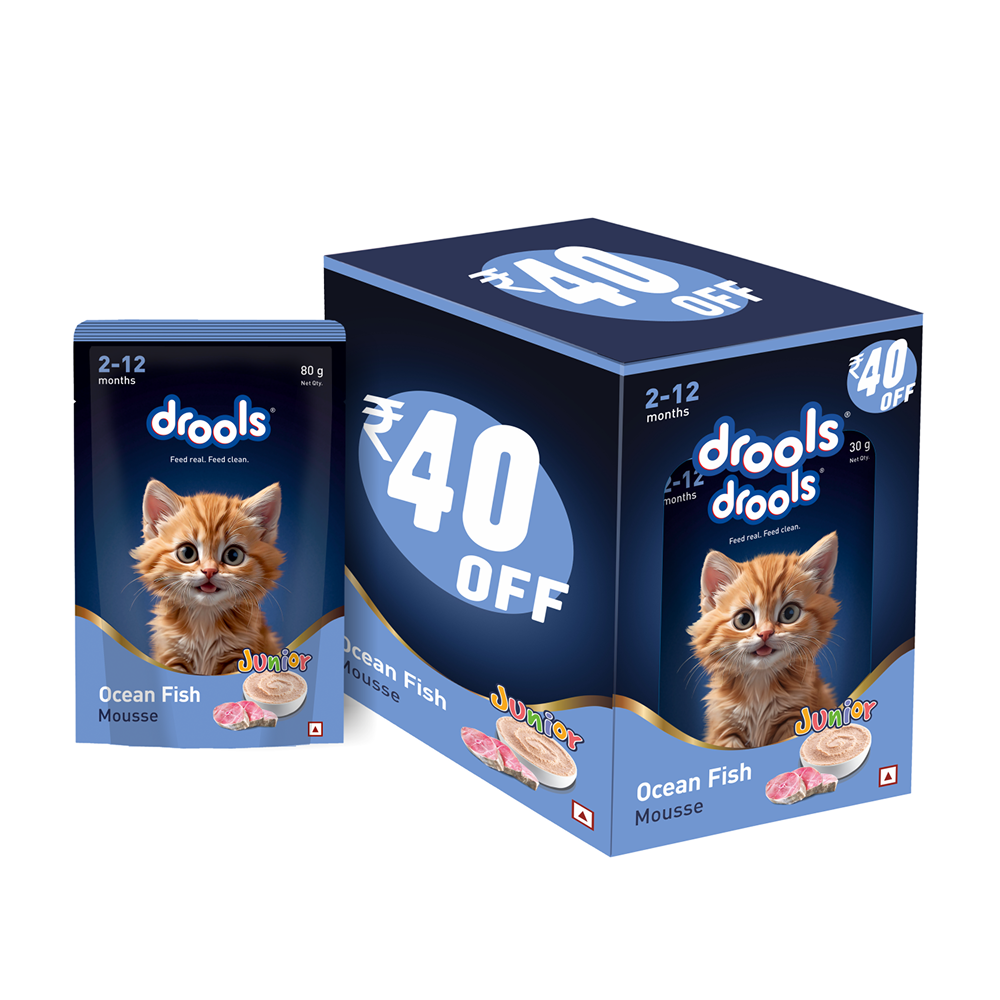 Drools OceanFish Mousse Kitten 80g