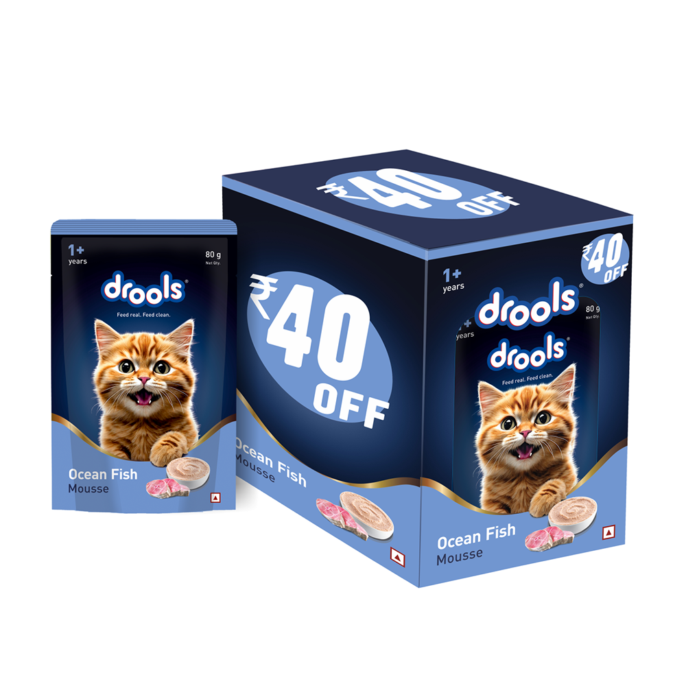 Drools OceanFish Mousse Cat 80g