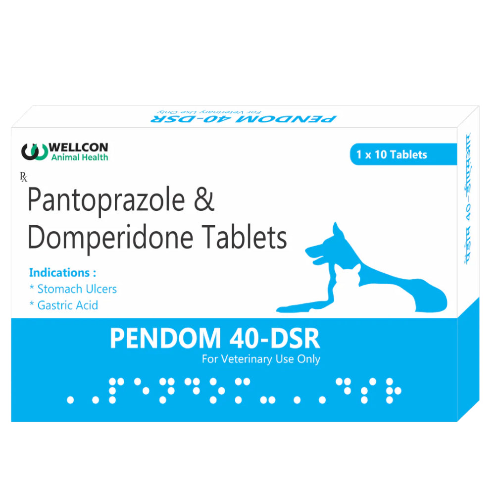 Wellcon Pendom DSR Tab 40mg