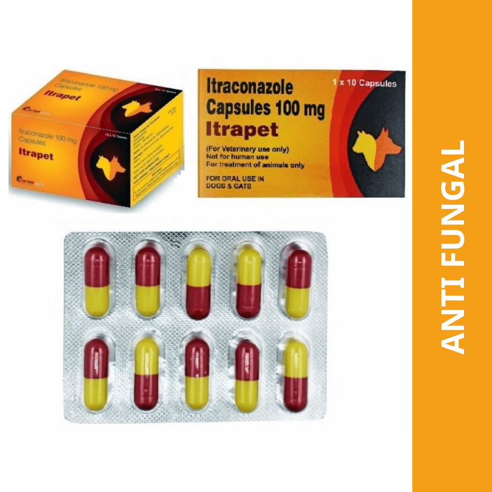 Swiss Biocare Bio Care Itrapet Tab 100