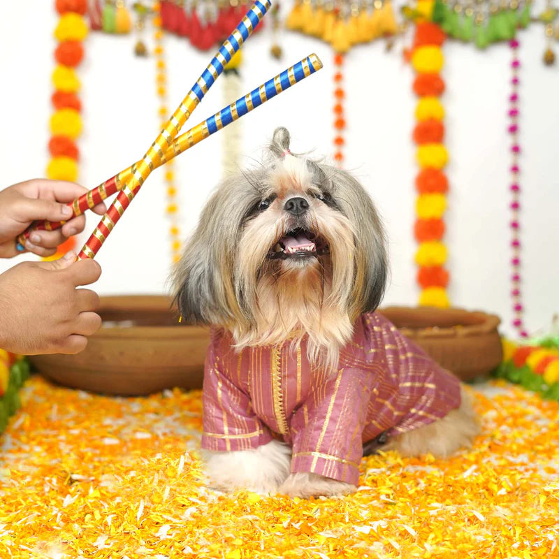 Festive Kurta for Dogs – Traditional Style for Your Furry Friend