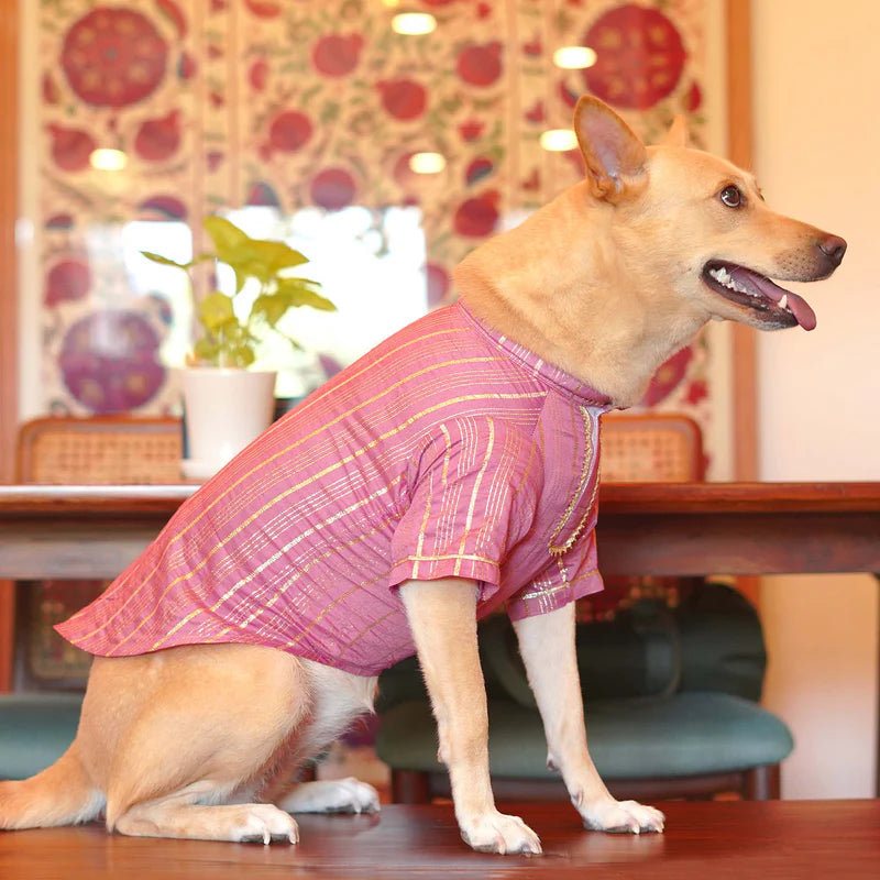 Festive Kurta for Dogs – Traditional Style for Your Furry Friend