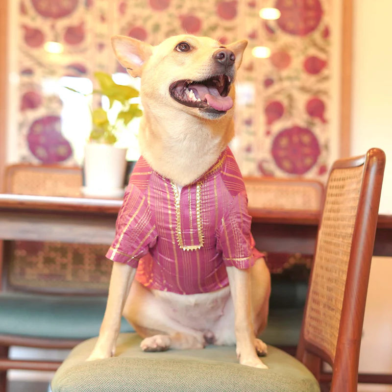 Festive Kurta for Dogs – Traditional Style for Your Furry Friend
