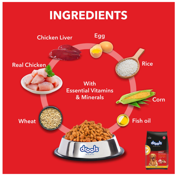 Drools Adult Chicken & Egg Dry Dog Food 10kg | High Protein Complete Nutrition for Adult Dogs | Chicken & Egg Formula for Healthy Muscles, Skin & Coat Support
