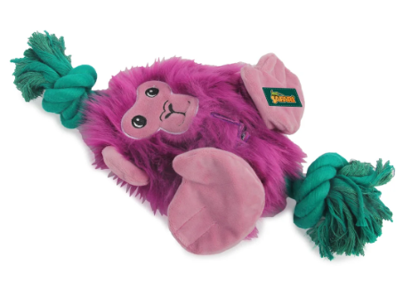 AFP - Safari-Big Foot - Monkey