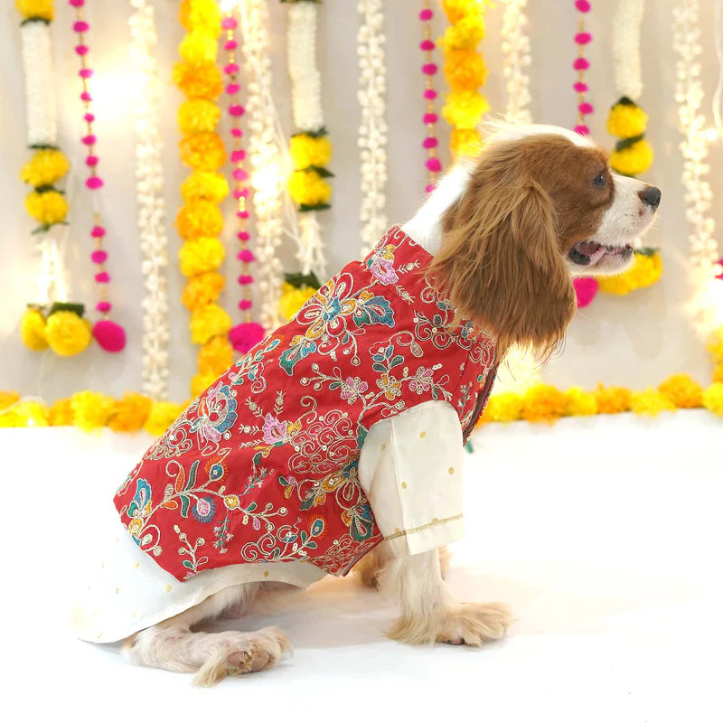 Festive Red Kurta for Dogs – Elegant Ethnic Festive Wear for Your Furry Friend |