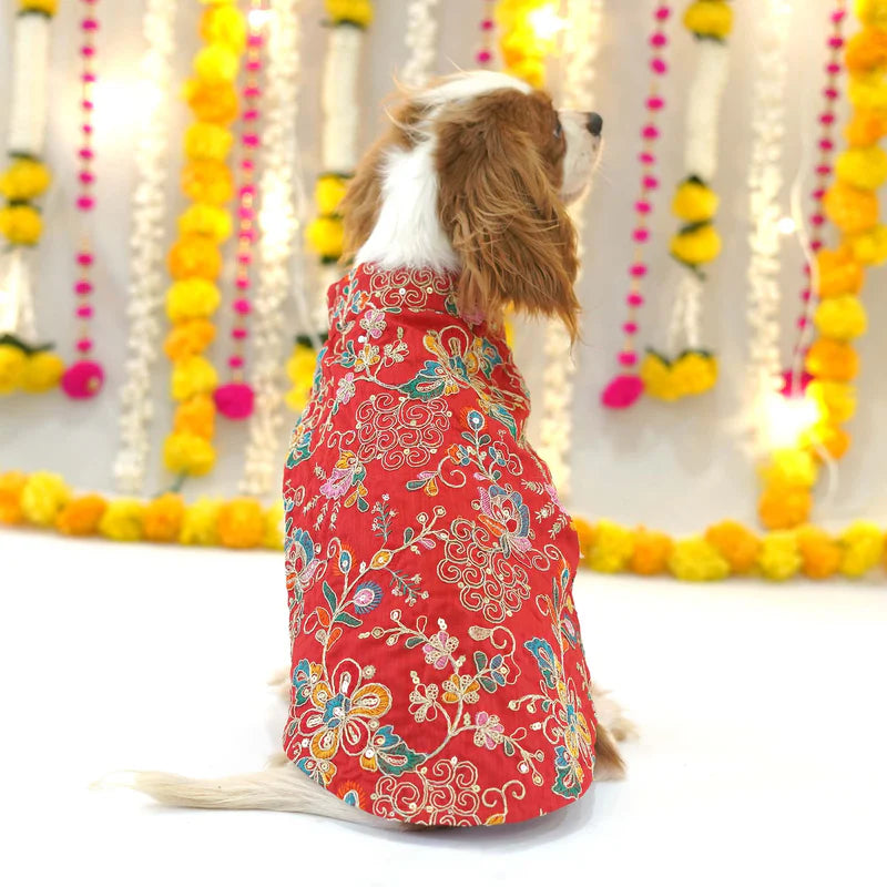 Festive Red Kurta for Dogs – Elegant Ethnic Festive Wear for Your Furry Friend |