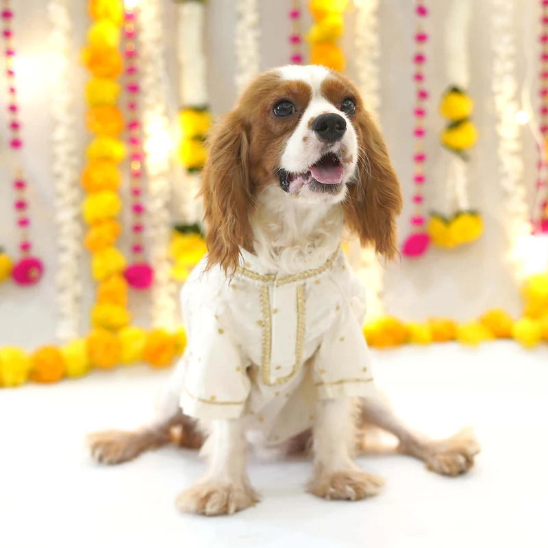Festive Red Kurta for Dogs – Elegant Ethnic Festive Wear for Your Furry Friend |
