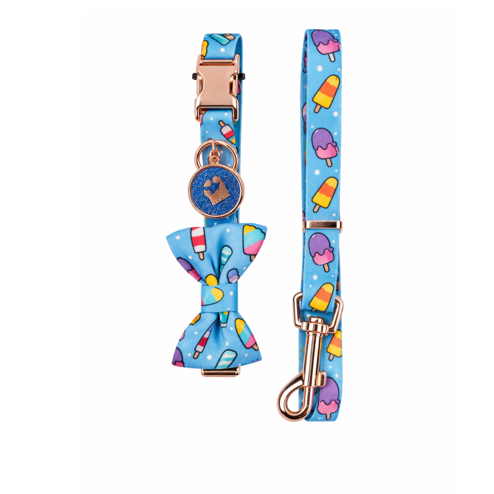 Pets Empire Scoops Of Joy Collar & Leash Set With Bow M