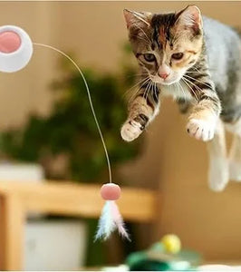 Holy Paws Retractable Cat Teasing Stick with Laser Light and Replacement Head & Cat Feather Toy