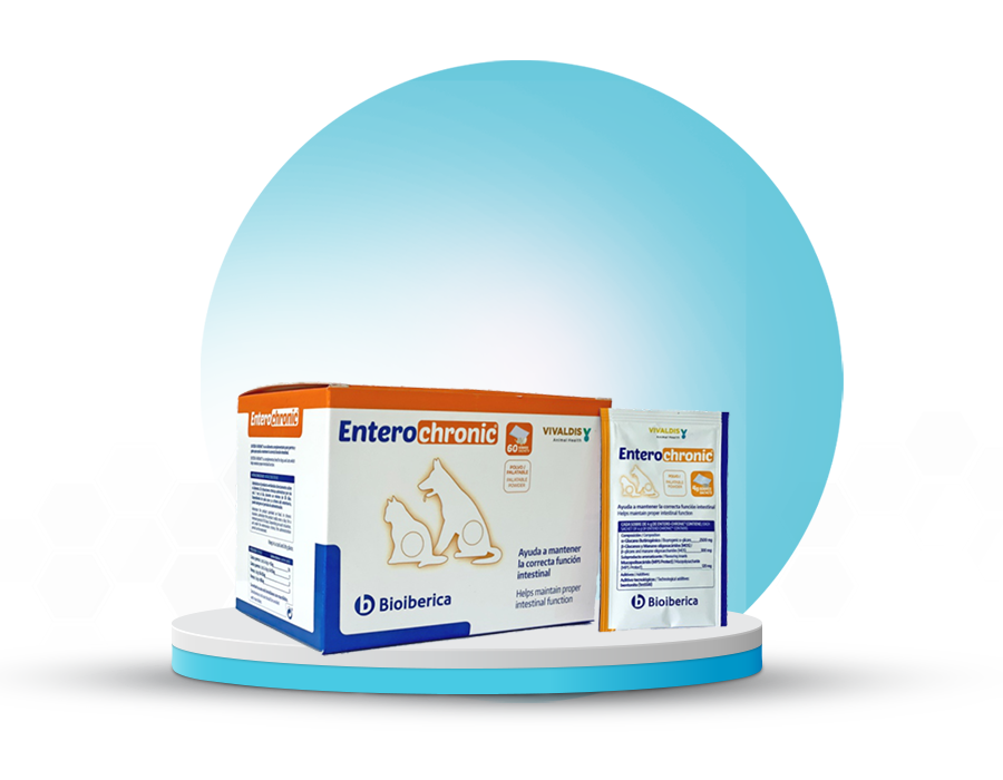Vivaldis Entero Chronic Powder