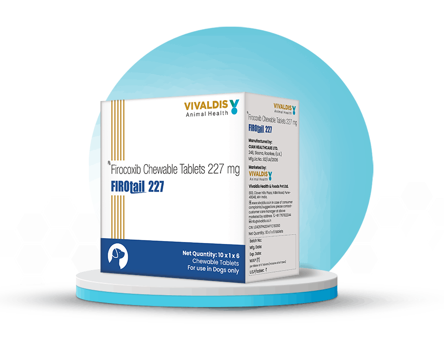 Vivaldis Firotail 227