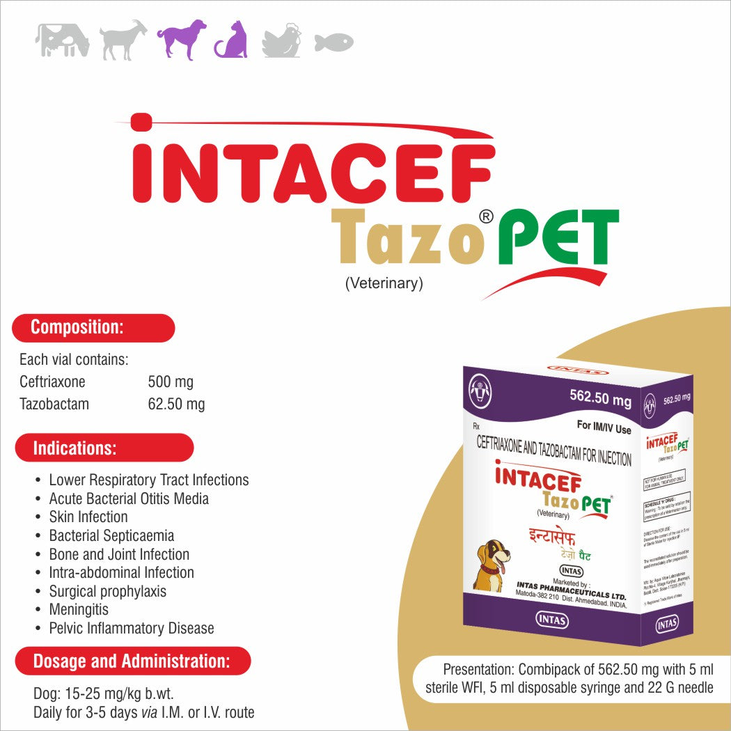 Intas - Kiskin Skin Cream - 20g