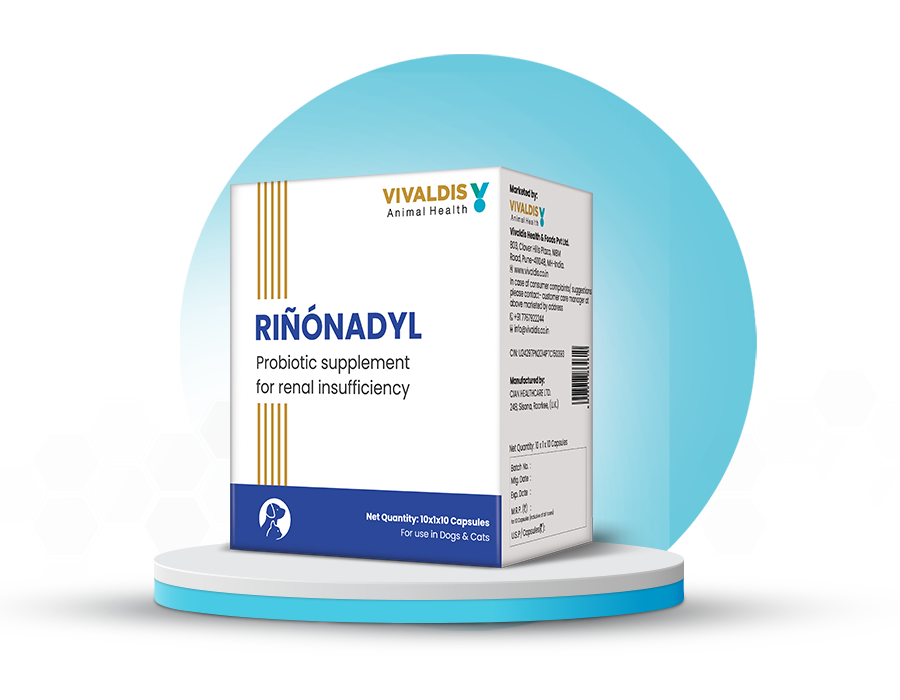 Vivaldis Rinonadyl Cap.
