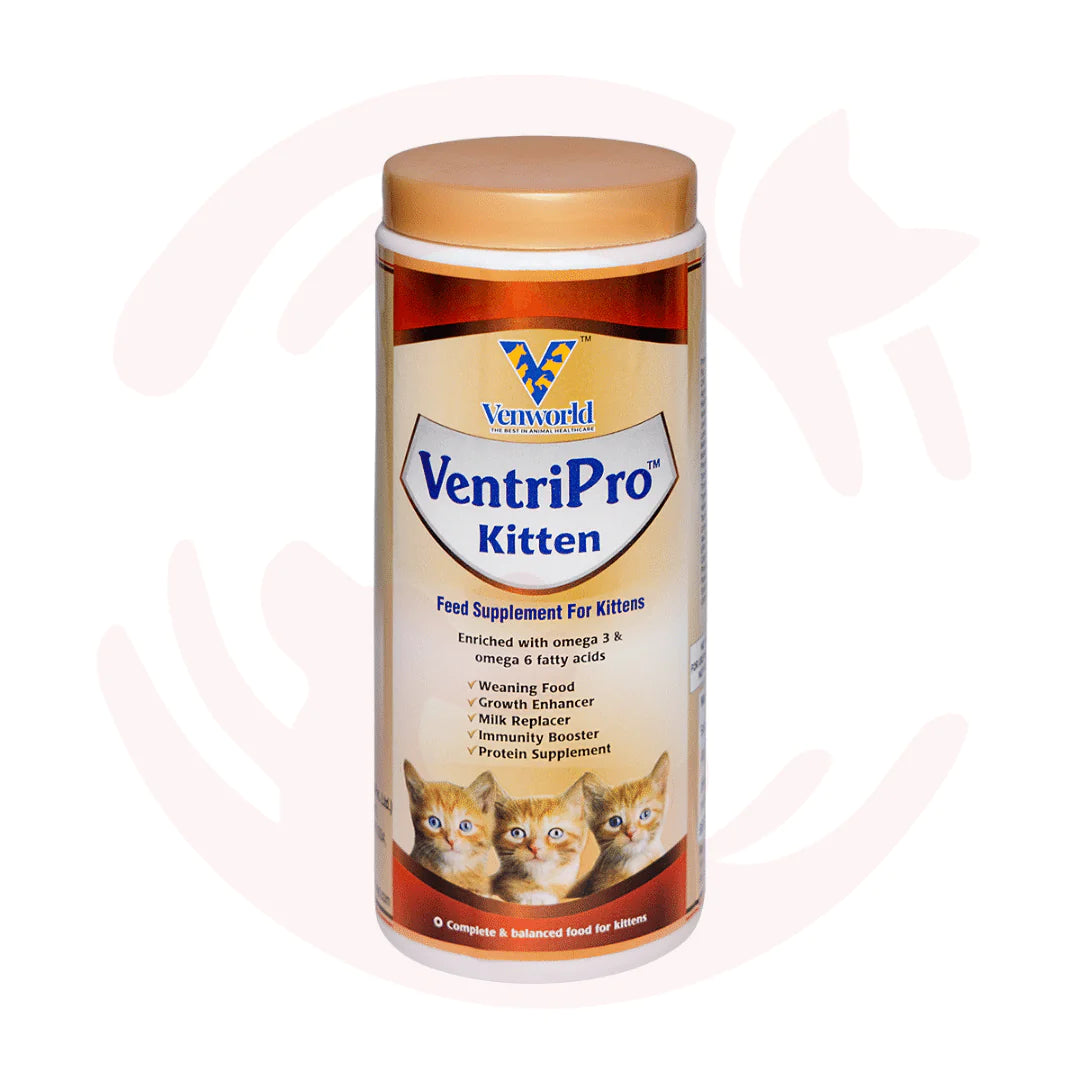 Venworld - VentriPro Kitten