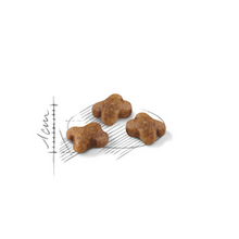 Load image into Gallery viewer, Royal Canin - Second Age Kitten 2KG
