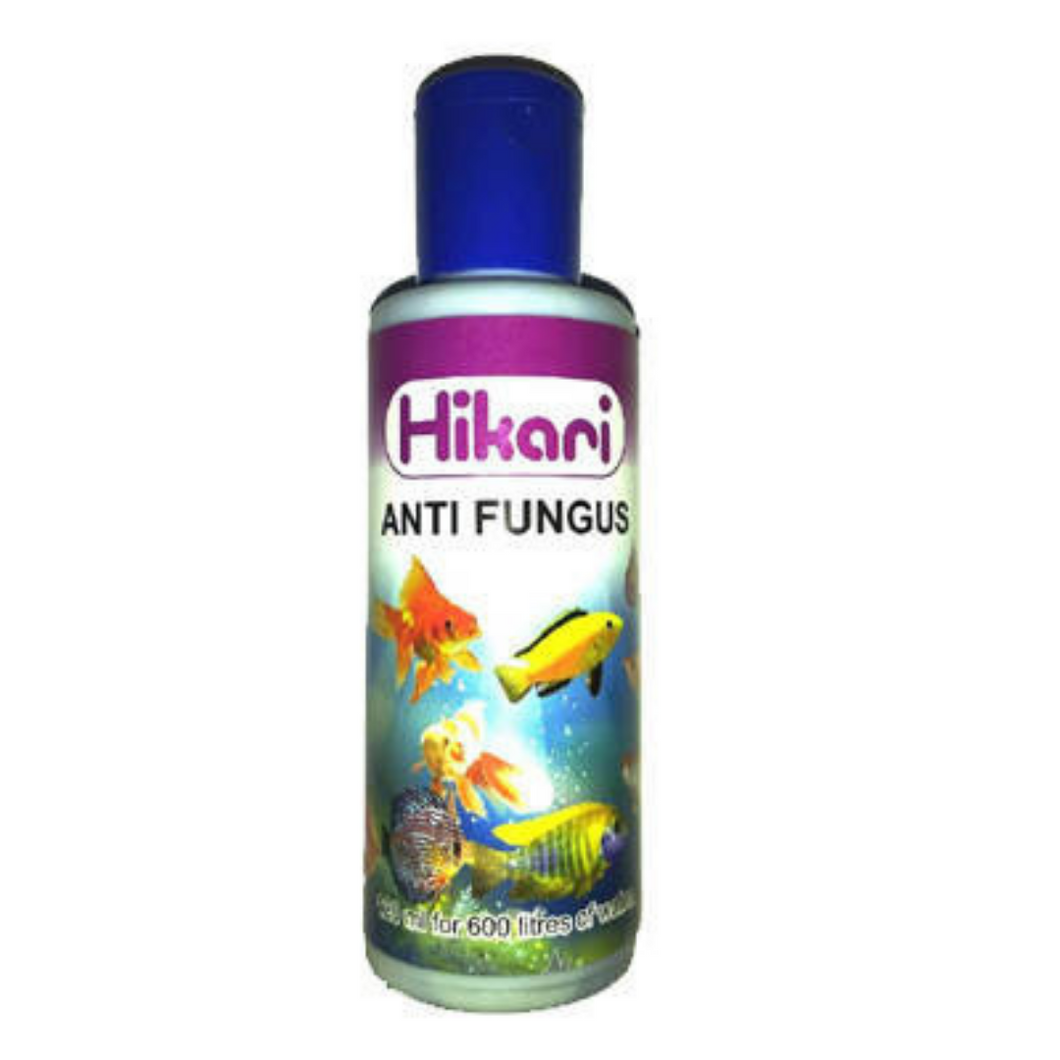 Hikari Anti Fugus