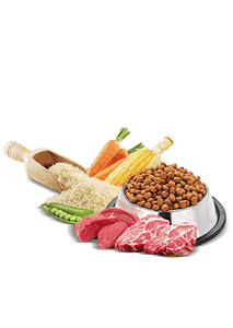 Pedigree Adult - Meat & Rice