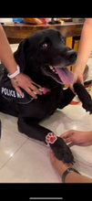 Load image into Gallery viewer, Paw Rakhi for Dogs
