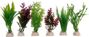 Aquarium Plants