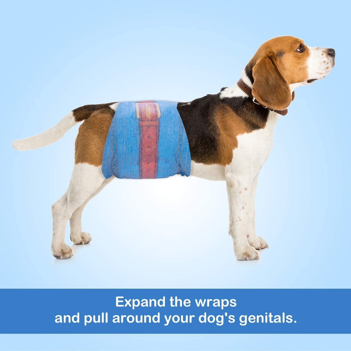 Denim best sale dog diaper
