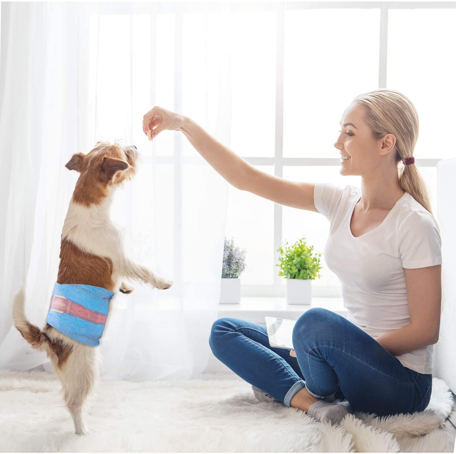 Dono Denim Jeans Pet Diapers petstreetonline