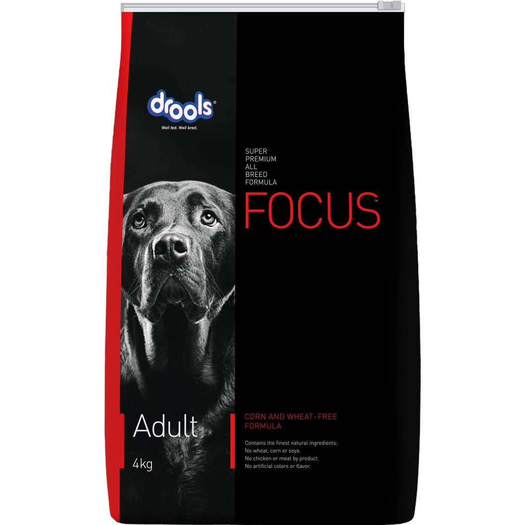 Drools Focus - Adult