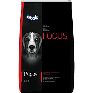 Drools Focus - Puppy