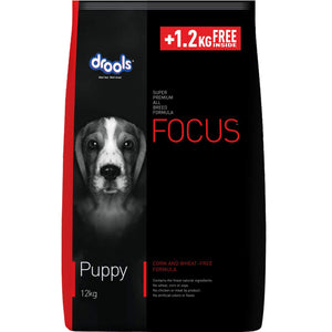 Drools Focus - Puppy