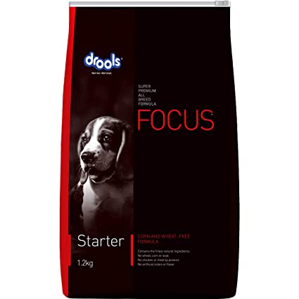 Drools Focus - Starter