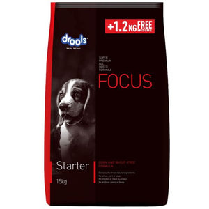 Drools Focus - Starter